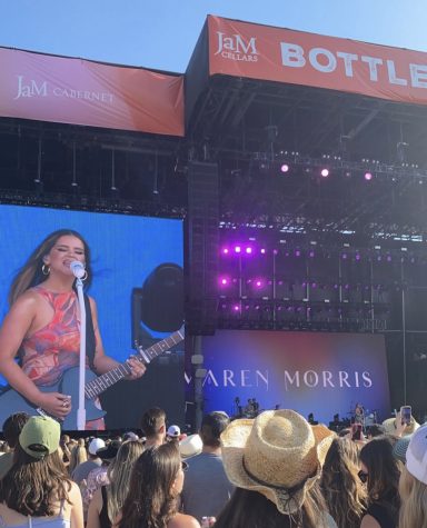 Bottlerock Lineup Sparks Mixed Reactions from SVHS Students