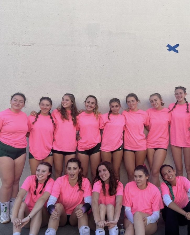 Volleyball Spikes Out Cancer
