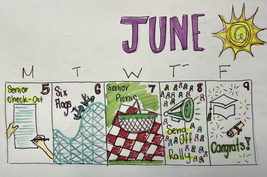 Senior Week: Fun, Fun, & More Fun