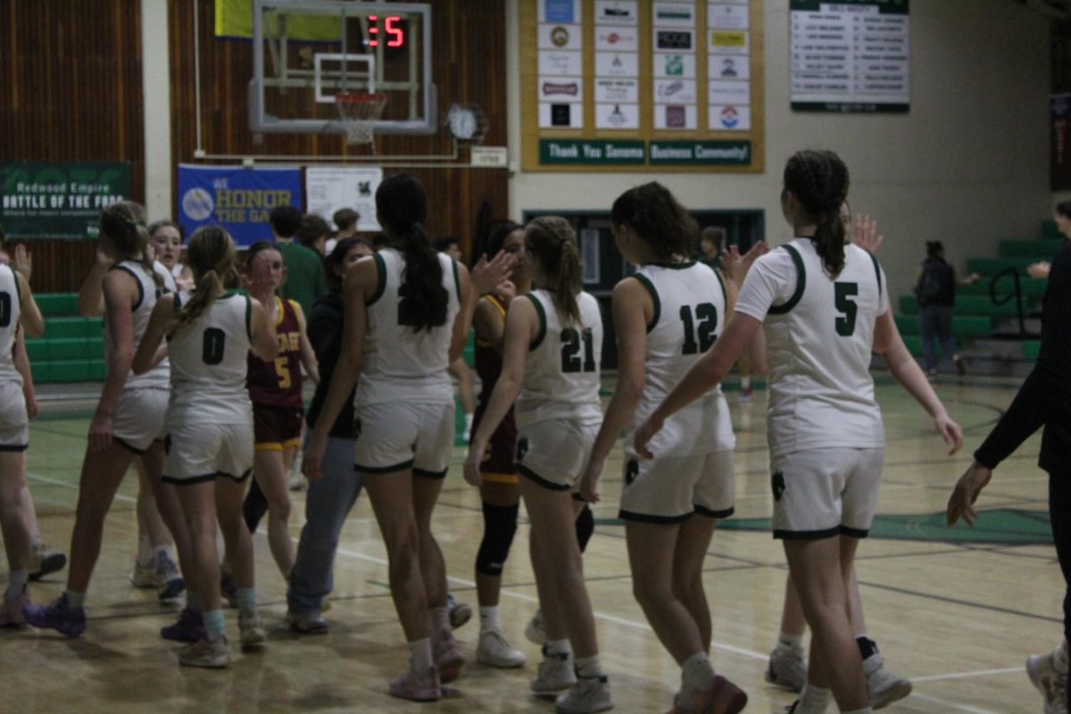 Lady Dragons Fly Into NCS Playoffs After VVAL