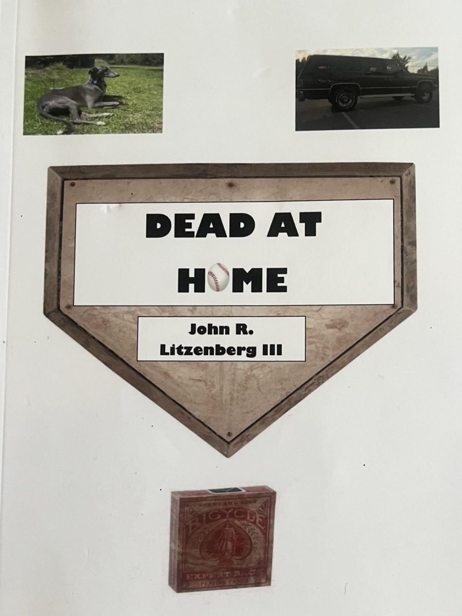 The cover of Litzenburg's new novel "Dead at Home"