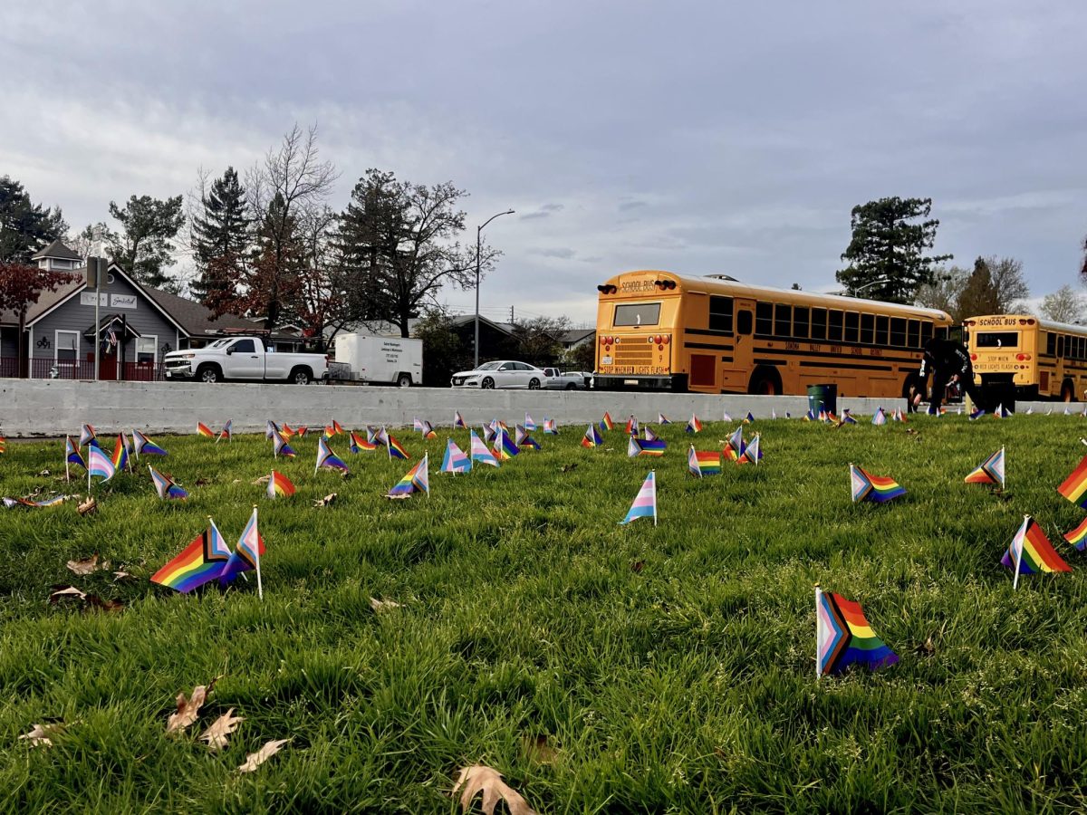 Students plant pride flags in front of SVHS campus on Tuesday, January 20